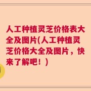 人工种植灵芝价格表大全及图片(人工种植灵芝价格大全及图片，快来了解吧！)