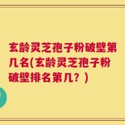 玄龄灵芝孢子粉破壁第几名(玄龄灵芝孢子粉破壁排名第几？)
