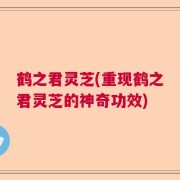 鹤之君灵芝(重现鹤之君灵芝的神奇功效)