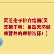 灵芝孢子粉介绍图(灵芝孢子粉：自然天然健康营养的理想选择！)