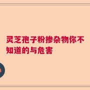 灵芝孢子粉掺杂物你不知道的与危害