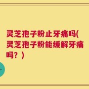 灵芝孢子粉止牙痛吗(灵芝孢子粉能缓解牙痛吗？)