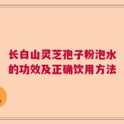 长白山灵芝孢子粉泡水的功效及正确饮用方法