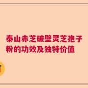 泰山赤芝破壁灵芝孢子粉的功效及独特价值