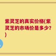 紫灵芝的真实价格(紫灵芝的市场价是多少？)