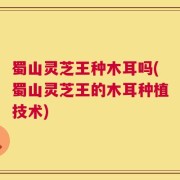 蜀山灵芝王种木耳吗(蜀山灵芝王的木耳种植技术)