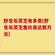 野生石灵芝有多贵(野生石灵芝售价高达数万元)