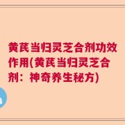 黄芪当归灵芝合剂功效作用(黄芪当归灵芝合剂：神奇养生秘方)