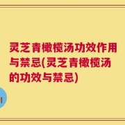 灵芝青橄榄汤功效作用与禁忌(灵芝青橄榄汤的功效与禁忌)
