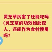 灵芝草厉害了还能吃吗(灵芝草的功效如此惊人，还能作为食材使用吗？