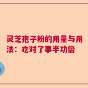 灵芝孢子粉的用量与用法：吃对了事半功倍