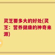 灵芝要多大的好处(灵芝：营养健康的神奇来源)