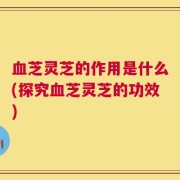 血芝灵芝的作用是什么(探究血芝灵芝的功效)