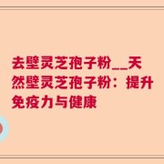 去壁灵芝孢子粉__天然壁灵芝孢子粉：提升免疫力与健康