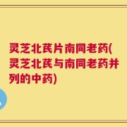 灵芝北芪片南同老药(灵芝北芪与南同老药并列的中药)