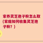 家养灵芝孢子粉怎么取(家庭如何收集灵芝孢子粉？)