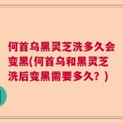 何首乌黑灵芝洗多久会变黑(何首乌和黑灵芝洗后变黑需要多久？)