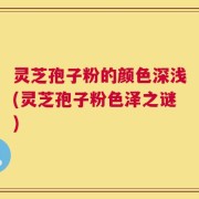 灵芝孢子粉的颜色深浅(灵芝孢子粉色泽之谜)