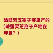 破壁灵芝孢子哪里产的(破壁灵芝孢子产地在哪里？)