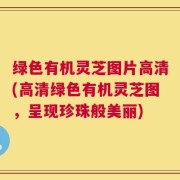 绿色有机灵芝图片高清(高清绿色有机灵芝图，呈现珍珠般美丽)
