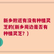 新乡附近有没有种植灵芝的(新乡周边是否有种植灵芝？)