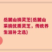 岳麓山摘灵芝(岳麓山采摘优质灵芝，传统养生滋补之选)