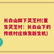 长白山脚下灵芝村(重生灵芝村：长白山下的传统村庄焕发新生机)