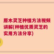原木灵芝种植方法视频讲解(种植优质灵芝的实用方法分享)