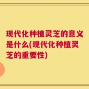 现代化种植灵芝的意义是什么(现代化种植灵芝的重要性)