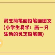 灵芝简笔画铅笔画图文(小学生易学！画一只生动的灵芝铅笔画)