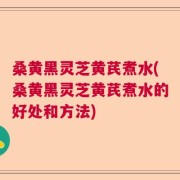 桑黄黑灵芝黄芪煮水(桑黄黑灵芝黄芪煮水的好处和方法)