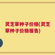 灵芝草种子价格(灵芝草种子价格报告)