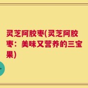 灵芝阿胶枣(灵芝阿胶枣：美味又营养的三宝果)