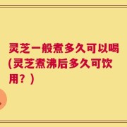 灵芝一般煮多久可以喝(灵芝煮沸后多久可饮用？)
