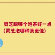 灵芝跟哪个泡茶好一点(灵芝泡哪种茶更佳)