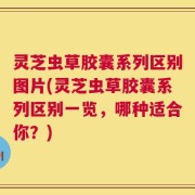 灵芝虫草胶囊系列区别图片(灵芝虫草胶囊系列区别一览，哪种适合你？)