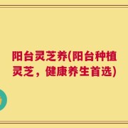 阳台灵芝养(阳台种植灵芝，健康养生首选)