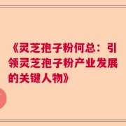 《灵芝孢子粉何总：引领灵芝孢子粉产业发展的关键人物》