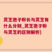 灵芝孢子粉长与灵芝有什么分别_灵芝孢子粉与灵芝的区别解析)