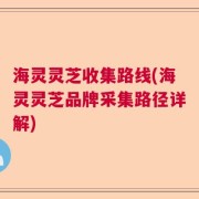 海灵灵芝收集路线(海灵灵芝品牌采集路径详解)