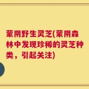蒙阴野生灵芝(蒙阴森林中发现珍稀的灵芝种类，引起关注)