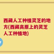 西藏人工种植灵芝的地方(西藏高原上的灵芝人工种植地)