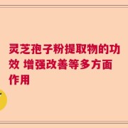 灵芝孢子粉提取物的功效 增强改善等多方面作用