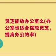 灵芝能放办公室么(办公室也适合摆放灵芝，提高办公效率)