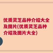 优质灵芝品种介绍大全及图片(优质灵芝品种介绍及图片大全)