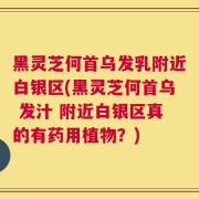 黑灵芝何首乌发乳附近白银区(黑灵芝何首乌 发汁 附近白银区真的有药用植物？)