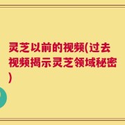 灵芝以前的视频(过去视频揭示灵芝领域秘密)