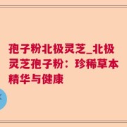 孢子粉北极灵芝_北极灵芝孢子粉:珍稀草本精华与健康
