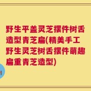 野生平盖灵芝摆件树舌造型青芝扁(精美手工野生灵芝树舌摆件萌趣扁重青芝造型)