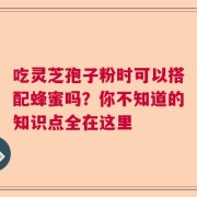 吃灵芝孢子粉时可以搭配蜂蜜吗？你不知道的知识点全在这里